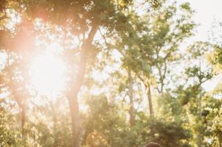 Meagan Gaines Photography - 62