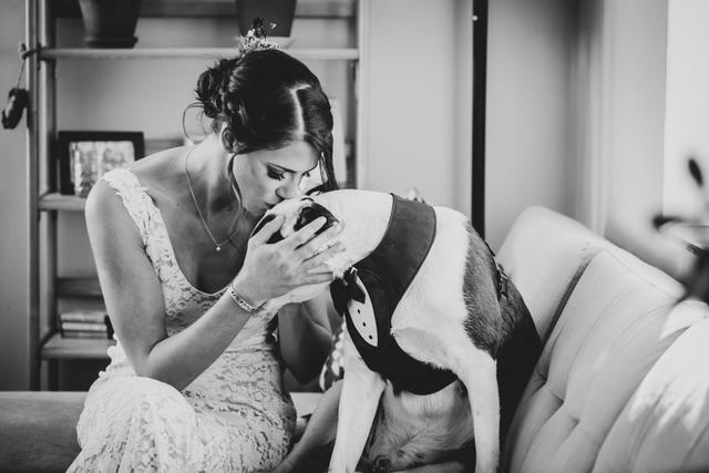 Vanessa Buholzer Photography - 1