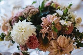 Molly Oliver Flowers - 32
