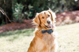 Courtney Timms Photography - 9