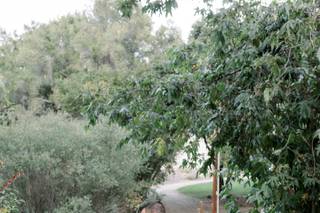 See Canyon Fruit Ranch - 10