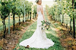Sanders Ridge Vineyard & Winery - 19