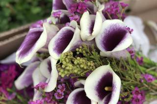 Mountain Florals - 9