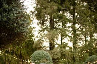 Woodland Mist - 15