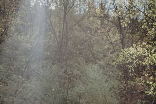 Henrietta Co. Photography - 8