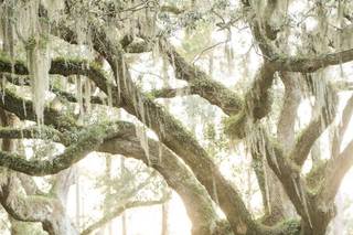 Jenn Eddine Photography - 12