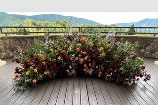 Meadow Wood Farm - 17