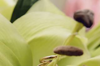 Love in Focus - 11