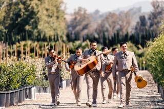 Lauren Newman Photography - 33