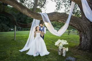 Tim Greenway Photography - 7