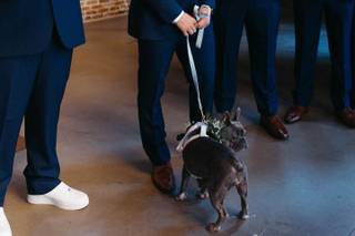 Rosely Events - 12