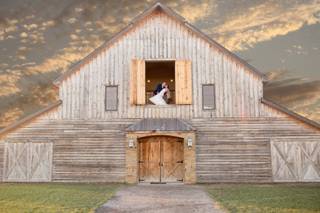 Cynthia Dalene Photography - 23