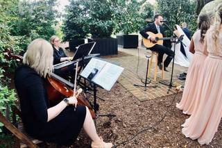 Bespoke Strings, LLC - 8