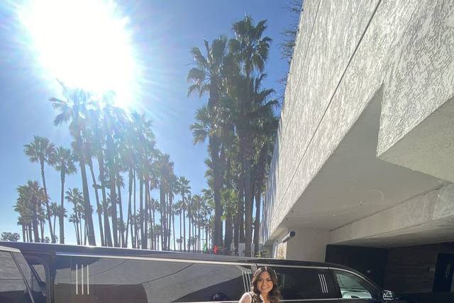 Crown Limousine 5