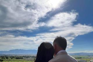 Mt. Naomi Vineyards - 8
