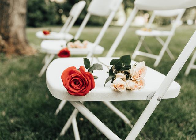 Carlee Lewis Photography - 1