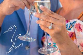 Sandhill Photography - 42