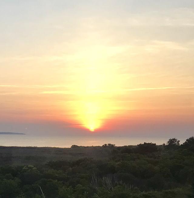Pamlico Jacks - 2