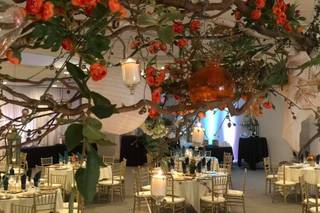 The Colonnade - 11