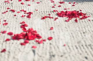 Port Aransas Beach Wedding Company - 5
