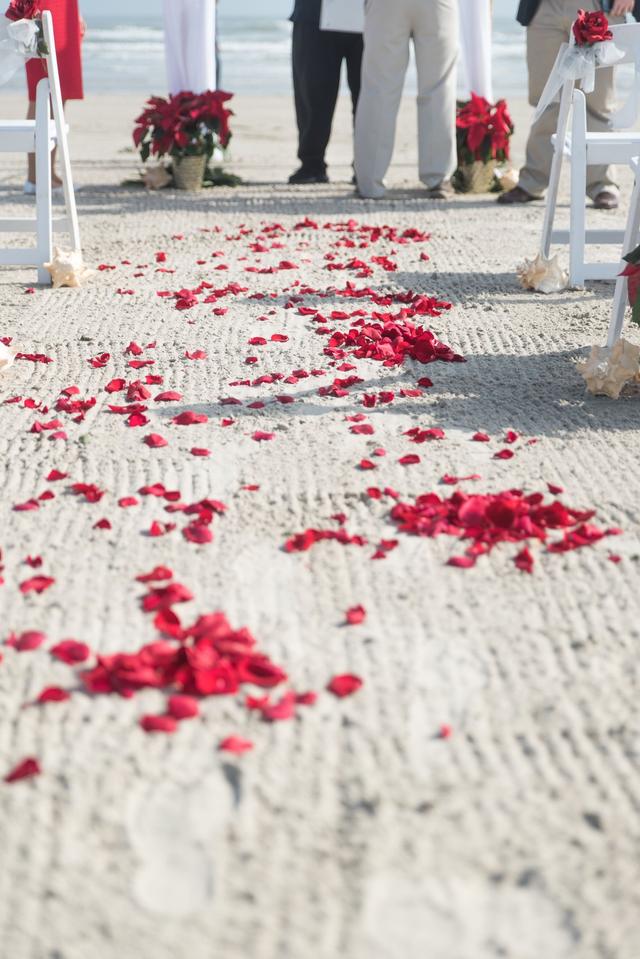 Port Aransas Beach Wedding Company - 1
