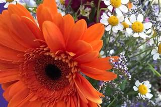 Sixpence Floral Design - 13