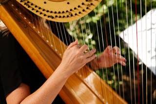 Monica Smith - Harpist - 3