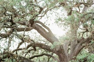 Patti Darby Photography - 23