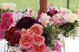 Flower Fairy Wings - 8
