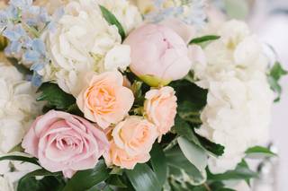 ABloom Studio One Twenty Three - 65