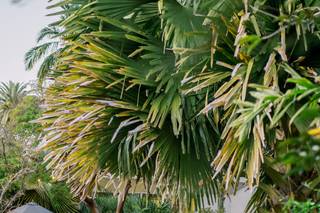 Miami Beach Botanical Garden - 7