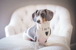 Elizabeth Birdwell Photography - 26