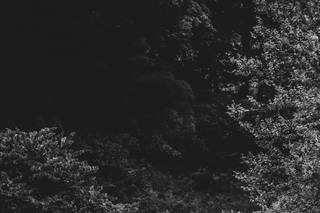 Jessica Wiggins Photography - 6