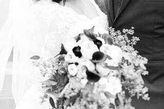 Hammitt Photo - 32