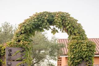 Orchard Avenue Events - 37