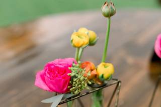 Orsetta Events - 26