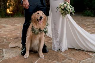 Kiinu Wedding Films - 12