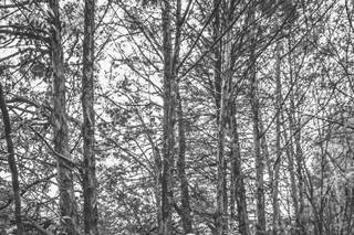Kayla Kelley Photography - 5