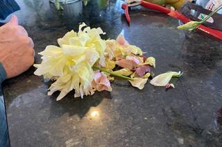 BRAMBLE + BLOOM - 9
