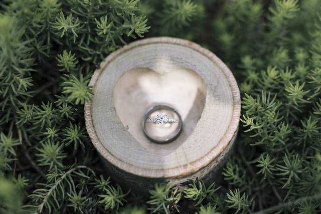 Matthew Scott Photography 5