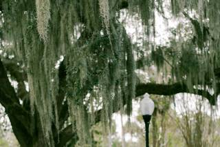 Molliner Photography - 9