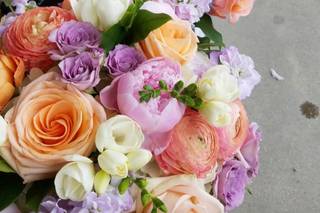 The Rogue Rose - 10