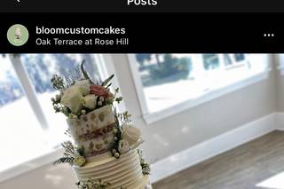 Bloom Custom Cakes - 113