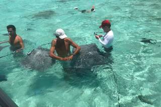 Tahiti.com - 16