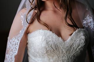 Colbis Photo - 48