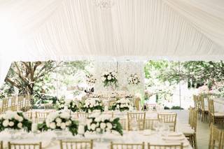 Ivory Leaf Photography - 13
