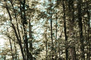 Megan Kathleen Photos - 10