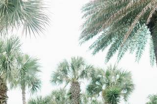 Hammock Beach Resort - Florida's Premier Oceanfront Destination - 36