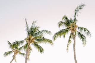 Opihi Love Destination Wedding & Events - 15