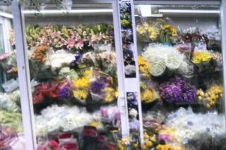 800ROSEBIG Wholesale Wedding Florist - 46